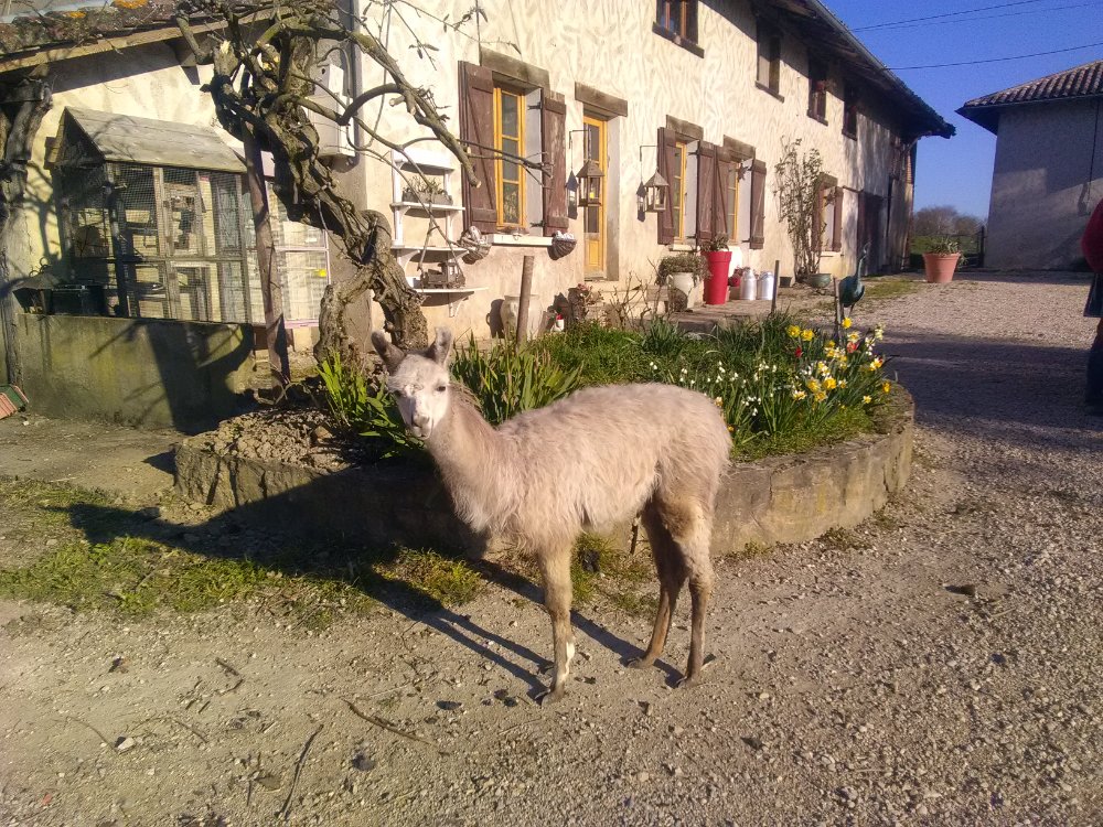 Aire camping-car  Chapelle-du-Chtelard (01240) - Photo 1